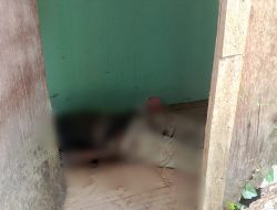 Seorang Pria di Ternate Ditemukan Meninggal Membusuk di Rumah Teman