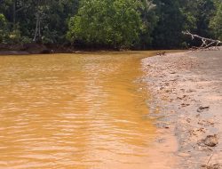 Operasi Tambang Kembali Mencemari Pesisir Teluk Buli, Halmahera Timur