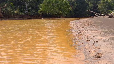 Operasi Tambang Kembali Mencemari Pesisir Teluk Buli, Halmahera Timur