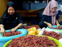 Geliat Eksportir Lokal Mendorong Rempah Maluku Utara ke Pasar Global