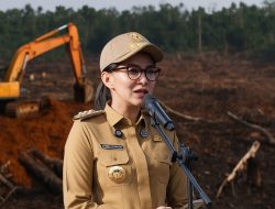 JATAM Ungkap Lingkaran Bisnis Tambang Sherly Tjoanda di Maluku Utara 