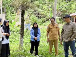 Bupati Haltim Tinjau Pembangunan Dapur MBG di Wasile Utara, Pastikan Susuai Standar