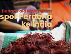 Video:  CV Anita Persada Gemilang Ekspor Bunga Pala ke India
