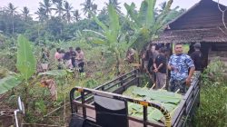 Warga Joubela Morotai Dikejutkan Penemuan Mayat di Kebun