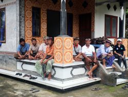 Tanah Ulayat Bersertipikat, Desa Adat Asahduren Bangkit Lewat Pisang Cavendish