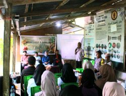 Menjaga Warisan Budaya Melalui Produk Minyak Cengkih Pulau Hiri