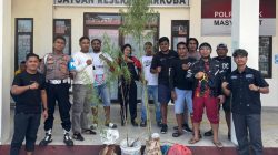 Tanam Tiga Pohon Ganja di Kebun, Seorang Pemuda Galela Selatan Dibekuk Polisi 