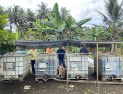 BUMDES Soahukum Tingkatkan Ekonomi Desa Lewat Budidaya Ikan Nila Bantuan NHM