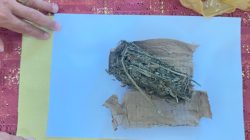 Rutan Kelas IIB Ternate Gagalkan Penyelundupan Ganja Jelang Nataru 2026