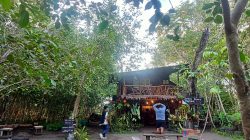 Tawarkan Pemandangan Alam, Pulo Tareba di Ternate Cocok Jadi Pilihan Wisata Akhir Tahun