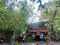 Tawarkan Pemandangan Alam, Pulo Tareba di Ternate Cocok Jadi Pilihan Wisata Akhir Tahun