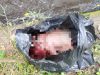 Geger! Warga Sasa, Ternate Temukan Bayi di Selokan
