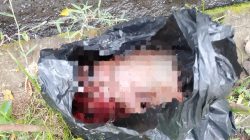 Geger! Warga Sasa, Ternate Temukan Bayi di Selokan