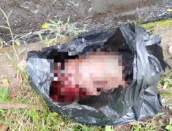 Geger! Warga Sasa, Ternate Temukan Bayi di Selokan