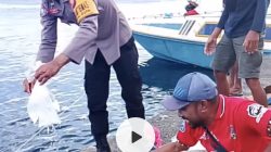 Viral: Musnahkan Mihol, Seorang Polisi di Ternate Buang Plastik ke Laut