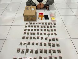 Polisi Gagalkan Peredaran 84 Saset Ganja di Halmahera Tengah