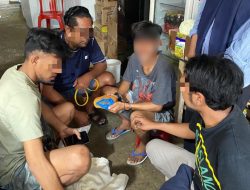 Ditresnarkoba Polda Malut Gagalkan Pengiriman Ganja ke Morotai, Pemuda 21 Tahun Ditangkap