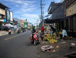 Puasa dan Usaha: Lika-liku Penjual Kelapa Muda di Jalanan Ternate