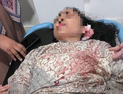 Anggota Brimob di Maluku Utara Diduga Aniaya Istri hingga Pingsan dan Dioperasi 
