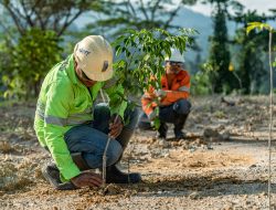 Dorong Pertambangan Berkelanjutan, NHM Rehabilitasi 232,69 Hektar Lahan