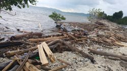 PT SGM di Kepulauan Sula Terancam Disanksi Akibat Limbah Produksi Kayu