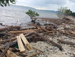PT SGM di Kepulauan Sula Terancam Disanksi Akibat Limbah Produksi Kayu