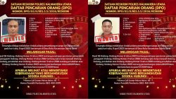 Polisi Buru Dua DPO Pelaku Tambang Ilegal di Halmahera Utara