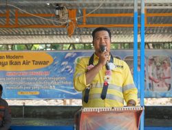 Dorong Desa Mandiri, NHM Dukung Budidaya Ikan Nila Modern di Kao Barat