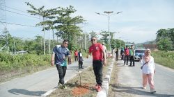 Peringati Hari Bumi, DPD RI Salurkan 30 Bibit Pohon untuk Pemda Taliabu
