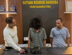 Tanam Ganja di Pekarangan Rumah Adat Hibualamo, Seorang Pemuda Dibekuk Polisi 