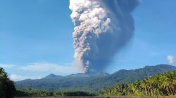 Jalur Pendakian Gunung Dukono Ditutup Permanen Imbas Erupsi