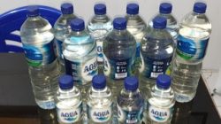Pemda Sebut Penjualan Captikus di Morotai Ilegal, Sanksi Justru Belum Jelas