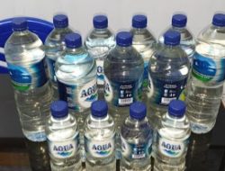 Pemda Sebut Penjualan Captikus di Morotai Ilegal, Sanksi Justru Belum Jelas