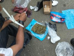 Satresnarkoba Morotai Gagalkan Peredaran 198 Gram Ganja, Satu Pelaku Diamankan
