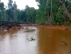 Aktivitas Pertambangan PT Feni Diduga Cemari Kali Kukuba di Halmahera Timur