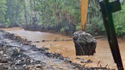 PT Feni Klarifikasi Perubahan Warna Perairan Teluk Buli, Sebut Dipicu Curah Hujan Tinggi