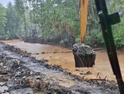 PT Feni Klarifikasi Perubahan Warna Perairan Teluk Buli, Sebut Dipicu Curah Hujan Tinggi
