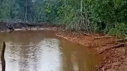 Mahasiswa Desak PT Feni Tanggung Kerugian Nelayan Akibat Pencemaran Laut Haltim