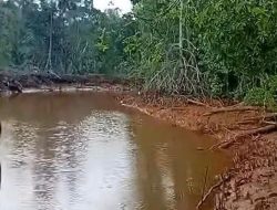 Mahasiswa Desak PT Feni Tanggung Kerugian Nelayan Akibat Pencemaran Laut Haltim