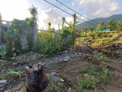 Dugaan Penipuan Penjualan Rumah di Ternate Dilaporkan ke Polda Malut
