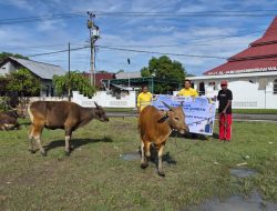 Sambut Idul Adha 1447 H, NHM Salurkan Hewan Kurban untuk Masyarakat Lingkar Tambang
