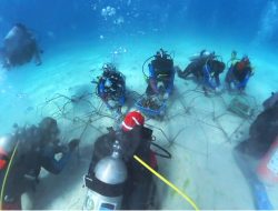 Laut Buru yang Baru dan Biru