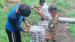 Heboh Ompreng MBG di Morotai Dibawa Pulang ke Rumah