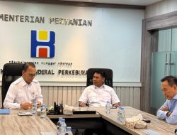 Bupati Haltim Usulkan Pabrik Pengolahan Kelapa ke Kementan, Dorong Hilirisasi dan Kesejahteraan Petani