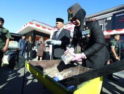 Polres Ternate Musnahkan 15.771 Liter Miras dan Hampir 6 Kilogram Ganja