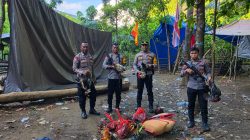 Polres Halmahera Tengah Grebek Arena Judi Sabung Ayam, Pelaku Berhasil Kabur