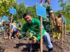 NHM Perkuat Komitmen ESG Lewat Penanaman Mangrove di Halmahera Utara