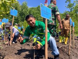 NHM Perkuat Komitmen ESG Lewat Penanaman Mangrove di Halmahera Utara