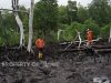 IWIP Perluas Rehabilitasi Mangrove, 36.500 Bibit Telah Ditanam di Maluku Utara