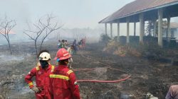 Kebakaran Melanda Perkebunan di Kao Teluk, ERT NHM Turun Tangan